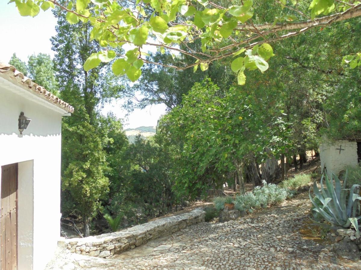 El Pastor Villa Grazalema Eksteriør billede